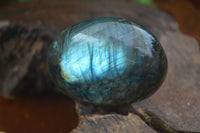 Polished Flashy Labradorite Palm Stones  x 12 From Tulear, Madagascar - Toprock Gemstones and Minerals 