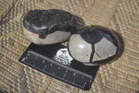 Polished Septaria Nodules x 6 From Mahajanga, Madagascar