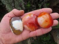 Polished Bright Red/ Orange Medium Sized Carnelian Palm Stones / Gallets - sold per kg - From Madagascar - TopRock