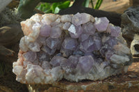 Natural Jacaranda Amethyst Cluster x 1 From Mumbwa, Zambia - TopRock