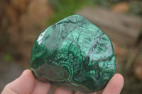 Polished Malachite Free Forms With Stunning Flower & Banding Patterns x 6 From Congo - TopRock