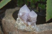 Natural Mixed Spirit Quartz Clusters  x 12 From Boekenhouthoek, South Africa - Toprock Gemstones and Minerals 