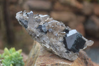 Natural Schorl Black Tourmaline & Smokey Quartz Specimens x 2 From Erongo Mountains, Namibia - TopRock