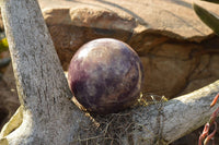 Polished Purple Mica Lepidolite Spheres  x 4 From Madagascar - TopRock