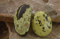 Polished  Spotted Leopard Stone Gallets  x 6 From Zimbabwe