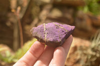 Natural Selected Rough Purpurite Specimens  x 12 From Uis, Namibia - TopRock