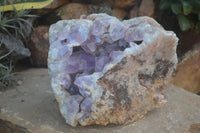 Natural Jacaranda Amethyst Cluster x 1 From Mumbwa, Zambia - TopRock