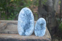 Polished Blue Celestite Standing Free Forms  x 2 From Madagascar - Toprock Gemstones and Minerals 