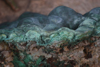 Natural Large Botryoidal Malachite Specimen  x 1 From Kolwezi, Congo