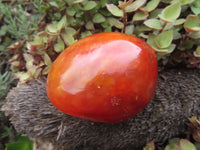 Polished Bright Red/ Orange Medium Sized Carnelian Palm Stones / Gallets - sold per kg - From Madagascar - TopRock