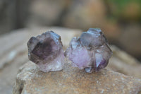 Natural Small Smokey Amethyst Crystals  x 20 From Chiredzi, Zimbabwe - Toprock Gemstones and Minerals 