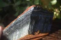 Natural Sliced Tigers Eye Specimen x 1 From Prieska, South Africa - Toprock Gemstones and Minerals 