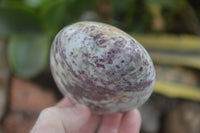 Polished Rubellite Pink Tourmaline Matrix Standing Free Forms x 4 From Madagascar