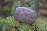 Polished Purple Lepidolite Palm Stones  x 12 From Zimbabwe