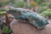 Natural Large Green Mtorolite / Emerald Chrysoprase Plates x 2 From Zimbabwe - Toprock Gemstones and Minerals 