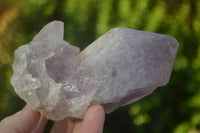 Natural Extra Large Single Jacaranda Amethyst Crystals  x 6 From Zambia - Toprock Gemstones and Minerals 