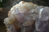 Natural Jacaranda Amethyst Cluster x 1 From Mumbwa, Zambia - TopRock