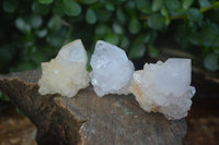 Natural Small Cactus Flower Quartz Specimens  x 24 From Boekenhouthoek, South Africa - Toprock Gemstones and Minerals 