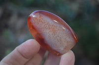 Polished Small Carnelian Agate Standing Free Forms  x 12 From Madagascar