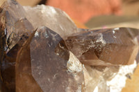 Natural Extra Large Self Healed Smokey Quartz Crystal Cluster  x 1 From Mt. Mulanje, Malawi - TopRock