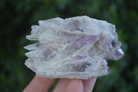 Natural Sugar Amethyst Clusters  x 6 From Solwezi, Zambia - Toprock Gemstones and Minerals 