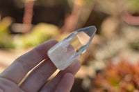 Polished Clear Quartz Crystal Points x 24 From Madagascar - TopRock