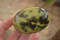 Polished  Spotted Leopard Stone Gallets  x 6 From Zimbabwe