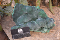 Natural Large Botryoidal Malachite Specimen  x 1 From Kolwezi, Congo