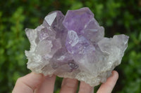 Natural Jacaranda Amethyst Clusters  x 3 From Mumbwa, Zambia - Toprock Gemstones and Minerals 