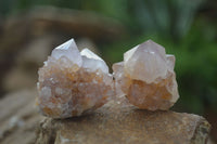 Natural Rare Spirit Ametrine Quartz Crystals  x 35 From Boekenhouthoek, South Africa - Toprock Gemstones and Minerals 