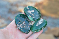 Polished Green Mtorolite / Emerald Chrysoprase Palm Stones  x 12 From Southern Africa - TopRock