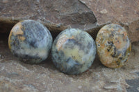 Polished Yellow Dendritic Agate Palm Stones  x 12 From Madagascar - Toprock Gemstones and Minerals 