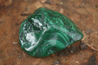 Polished Malachite Free Forms With Stunning Flower & Banding Patterns x 6 From Congo - TopRock