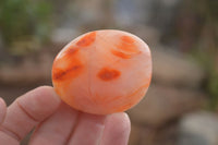 Polished  Carnelian Agate Palm Stones  x 12 From Madagascar