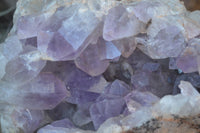 Natural Jacaranda Amethyst Cluster x 1 From Mumbwa, Zambia - TopRock