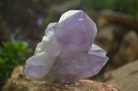 Natural Jacaranda Amethyst Clusters  x 3 From Mumbwa, Zambia - Toprock Gemstones and Minerals 