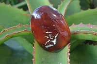 Polished Small Carnelian Agate Standing Free Forms  x 12 From Madagascar