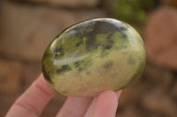 Polished  Spotted Leopard Stone Gallets  x 6 From Zimbabwe