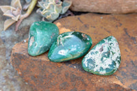 Polished Green Mtorolite / Emerald Chrysoprase Palm Stones  x 12 From Southern Africa - TopRock