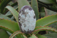 Polished Rubellite Pink Tourmaline Matrix Standing Free Forms x 4 From Madagascar