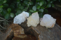 Natural Small Cactus Flower Quartz Specimens  x 24 From Boekenhouthoek, South Africa - Toprock Gemstones and Minerals 