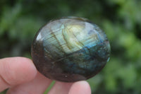 Polished Flashy Labradorite Palm Stones  x 12 From Tulear, Madagascar - Toprock Gemstones and Minerals 