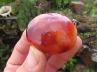 Polished Bright Red/ Orange Medium Sized Carnelian Palm Stones / Gallets - sold per kg - From Madagascar - TopRock