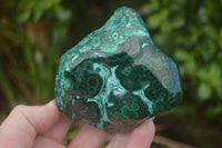 Polished Malachite Free Forms With Stunning Flower & Banding Patterns x 3 From Congo - TopRock