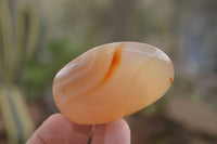 Polished  Carnelian Agate Palm Stones  x 12 From Madagascar