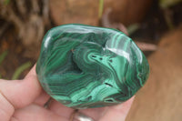 Polished Malachite Free Forms With Stunning Flower & Banding Patterns x 6 From Congo - TopRock