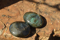 Polished Flashy Labradorite Palm Stones  x 12 From Tulear, Madagascar - TopRock