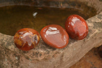 Polished Vibrant Carnelian Agate Palm Stones  x 35 From Madagascar - TopRock