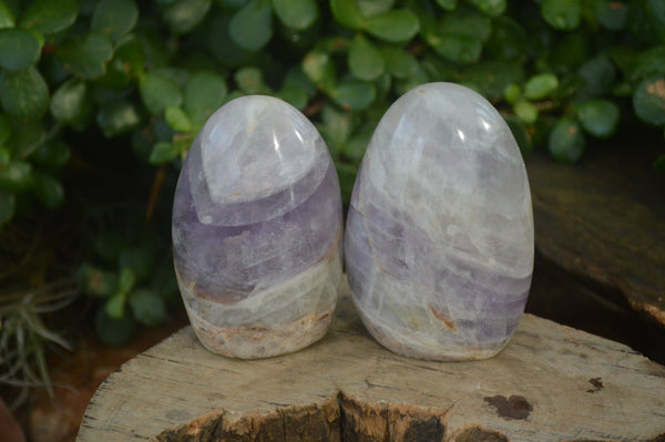 Polished Dream Amethyst Standing Free Forms x 12 From Ambatondrazaka, Madagascar