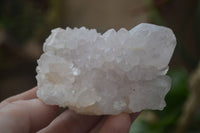 Natural White Cactus Flower Spirit Quartz Specimens  x 6 From Boekenhouthoek, South Africa - Toprock Gemstones and Minerals 